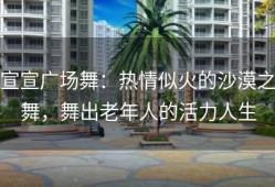 宣宣广场舞：热情似火的沙漠之舞，舞出老年人的活力人生