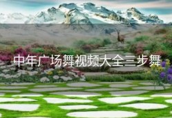 中年广场舞视频大全三步舞