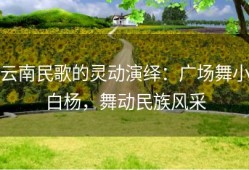 云南民歌的灵动演绎：广场舞小白杨，舞动民族风采