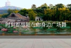 时刻都想陪在你身边广场舞