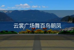 云裳广场舞百鸟朝凤