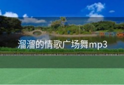 溜溜的情歌广场舞mp3