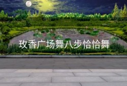 玫香广场舞八步恰恰舞