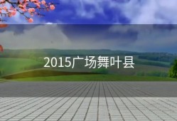 2015广场舞叶县