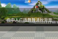 曲中人广场舞舞清秋背面