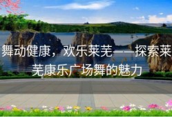 舞动健康，欢乐莱芜——探索莱芜康乐广场舞的魅力