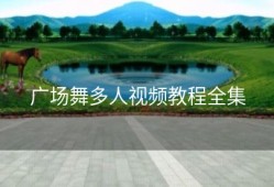 广场舞多人视频教程全集