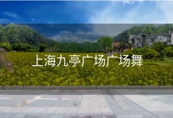 上海九亭广场广场舞