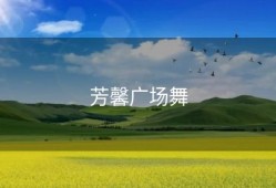 芳馨广场舞