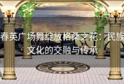 春英广场舞绽放格桑之花：民族文化的交融与传承