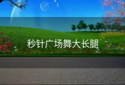 秒针广场舞大长腿