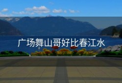 广场舞山哥好比春江水