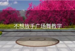 不想放手广场舞教学