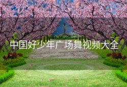 中国好少年广场舞视频大全