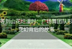 等到山花烂漫时：广场舞团队形变幻背后的故事