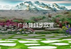 广场舞11步欣赏