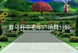 套马杆中老年广场舞分解