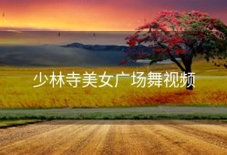 少林寺美女广场舞视频