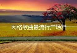 网络歌曲最流行广场舞