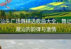 汕头广场舞精选歌曲大全，舞动潮汕的韵律与激情