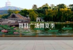 舞鞋广场舞夏季