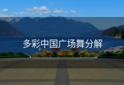 多彩中国广场舞分解