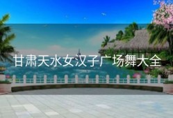 甘肃天水女汉子广场舞大全