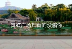 舞蝶广场舞真的没骗你