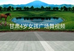 甘肃4岁女孩广场舞视频