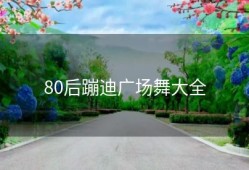 80后蹦迪广场舞大全
