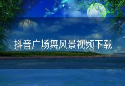 抖音广场舞风景视频下载