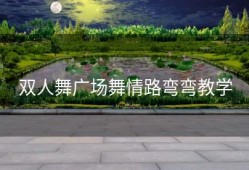 双人舞广场舞情路弯弯教学