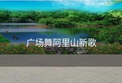 广场舞阿里山新歌