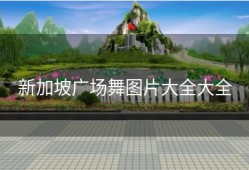 新加坡广场舞图片大全大全