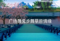 广场舞鬼步舞草原情缘