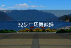 32步广场舞辣妈