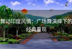 舞动印度风情：广场舞演绎下的经典重现