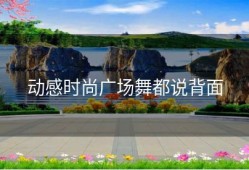 动感时尚广场舞都说背面