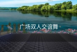 广场双人交谊舞