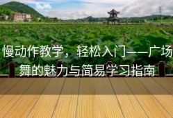 慢动作教学，轻松入门——广场舞的魅力与简易学习指南