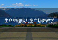 生命的翅膀儿童广场舞教学