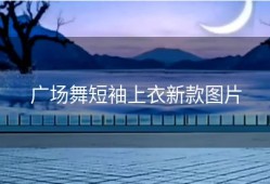 广场舞短袖上衣新款图片
