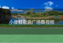 小皮鞋歌曲广场舞视频