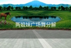 两姐妹广场舞分解