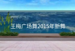 王梅广场舞2015年新舞