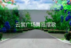 云裳广场舞摇摆歌