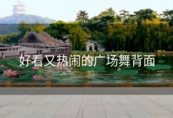 好看又热闹的广场舞背面