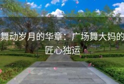 舞动岁月的华章：广场舞大妈的匠心独运