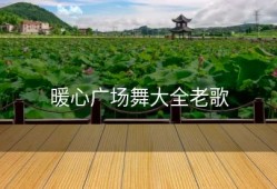 暖心广场舞大全老歌
