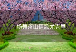 广场舞茶山情歌尤克里